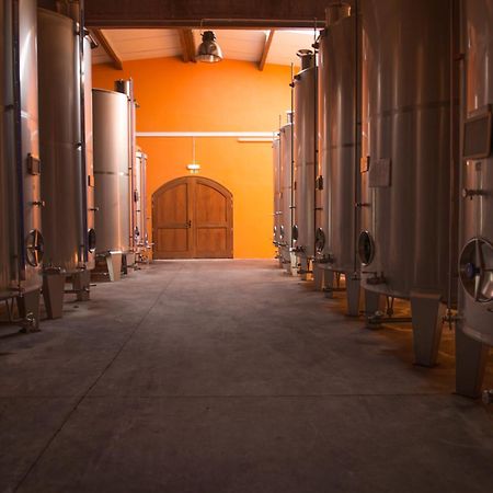 Vila Tranca Da Barriga - Casa Do Vinho By Quinta De Sao Tiago Covilhã Exteriér fotografie