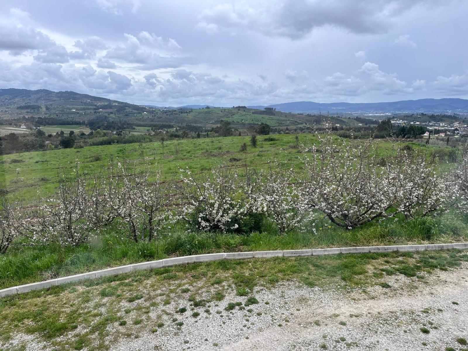 Vila Tranca Da Barriga - Casa Do Vinho By Quinta De Sao Tiago Covilhã Exteriér fotografie