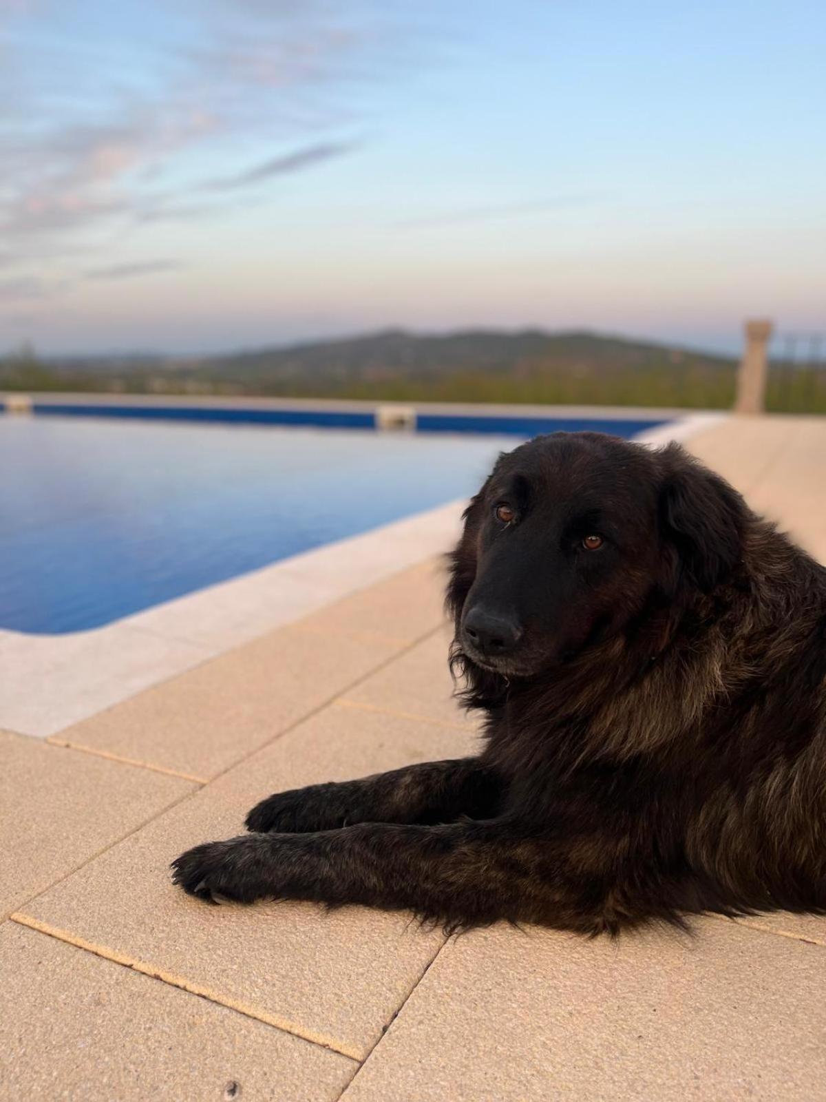 Vila Tranca Da Barriga - Casa Do Vinho By Quinta De Sao Tiago Covilhã Exteriér fotografie